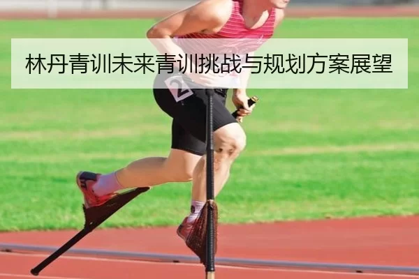 林丹青训未来青训挑战与规划方案展望